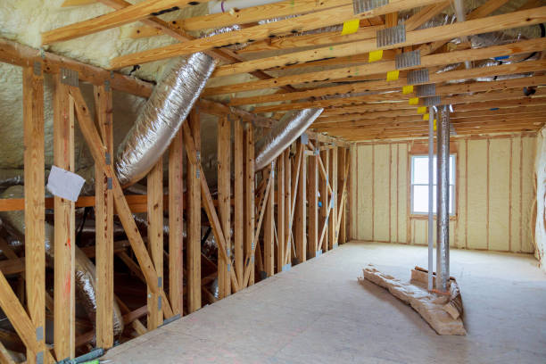 Best Eco-Friendly Insulation in Newnan, GA
