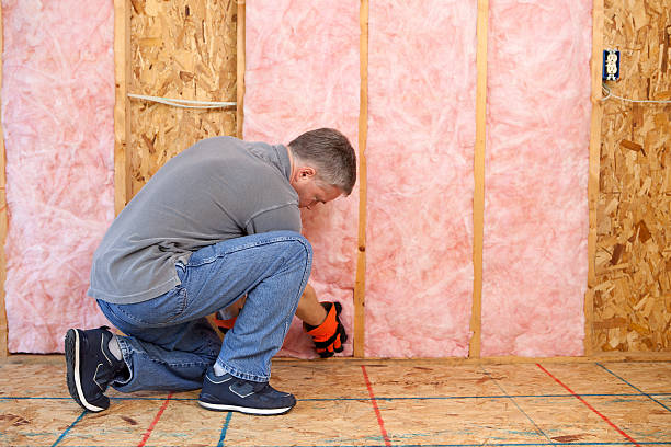 Best Insulation Maintenance and Repair in Newnan, GA