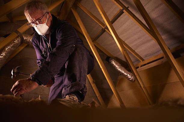 Types of Insulation We Offer in Newnan, GA